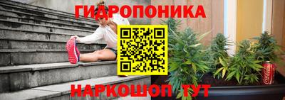 стаф Нарткала