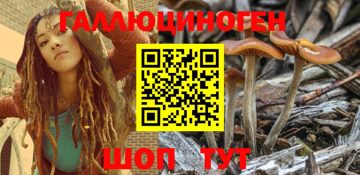 Галлюциногенные грибы Psilocybine cubensis  Псилоцибиновые грибы Cubensis  Вход с VPN  Тимашёвск 